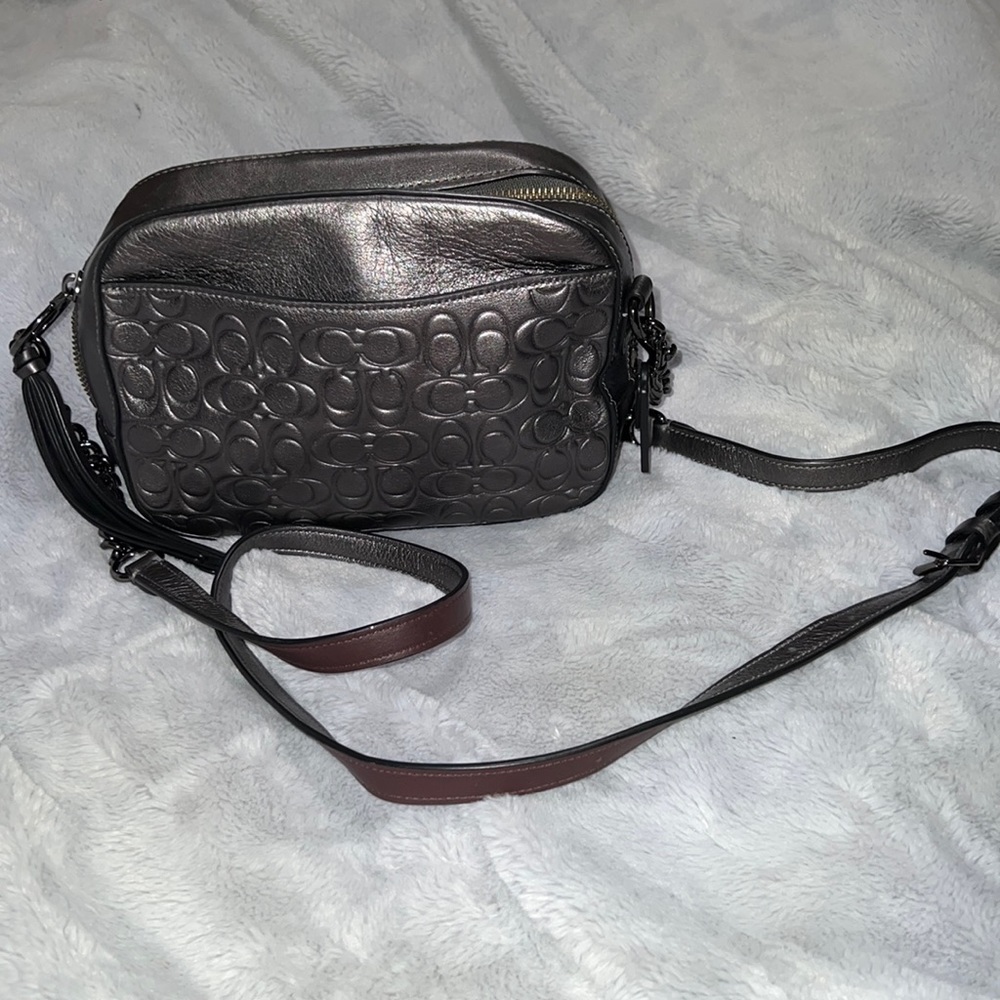 Metallic Coach bag
